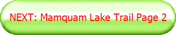 NEXT: Mamquam Lake Trail Page 2