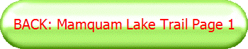 BACK: Mamquam Lake Trail Page 1