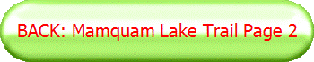 BACK: Mamquam Lake Trail Page 2