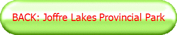 BACK: Joffre Lakes Provincial Park