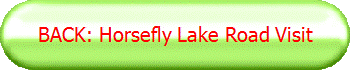 BACK: Horsefly Lake Road Visit