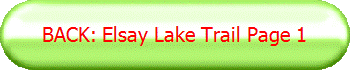 BACK: Elsay Lake Trail Page 1