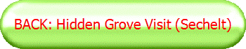 BACK: Hidden Grove Visit (Sechelt)